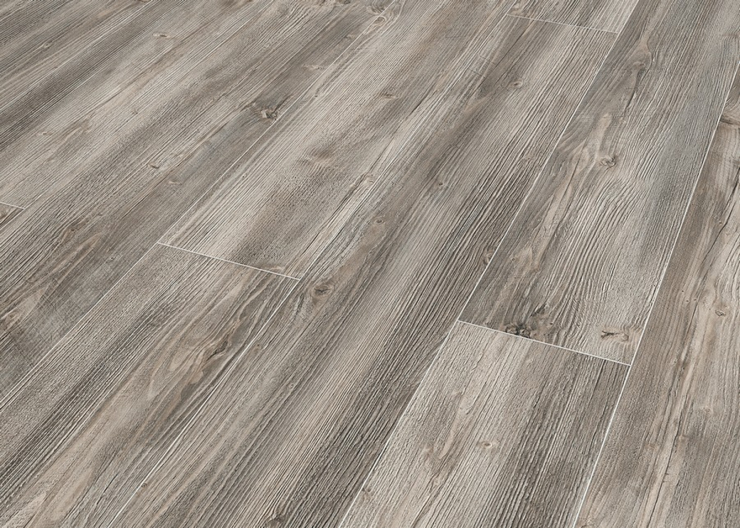 Ansicht von Kiefer grau rustikal strukturiert 1-Stab Living Laminat - Wiparquet