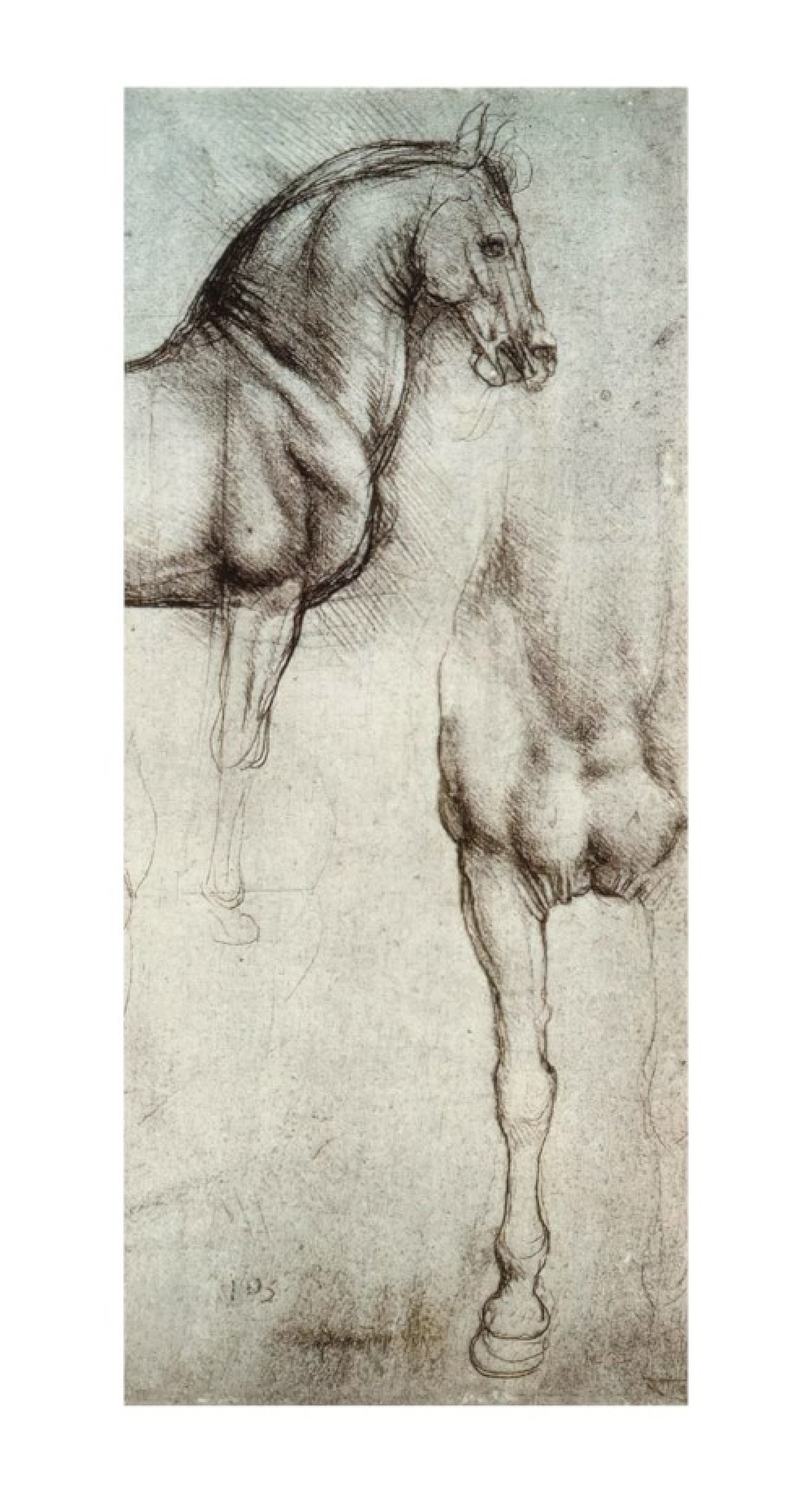 Leonardo da Vinci Reproduktion auf eigener Innentür Studie der Pferde