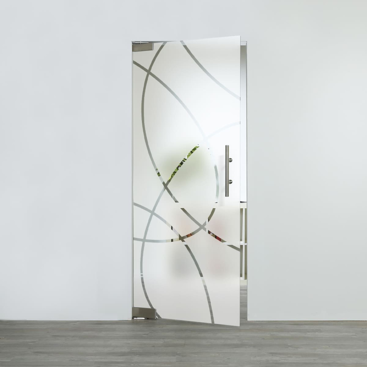 LIENBACHER GLAS Glaspendeltür Modell 317 negativ Klarglas