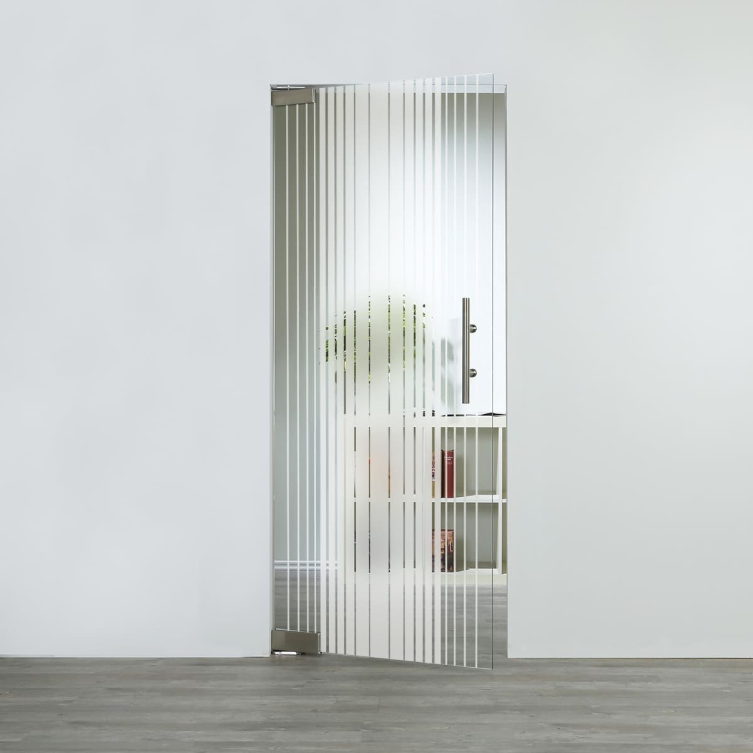 LIENBACHER GLAS Glaspendeltür Modell 361 Klarglas