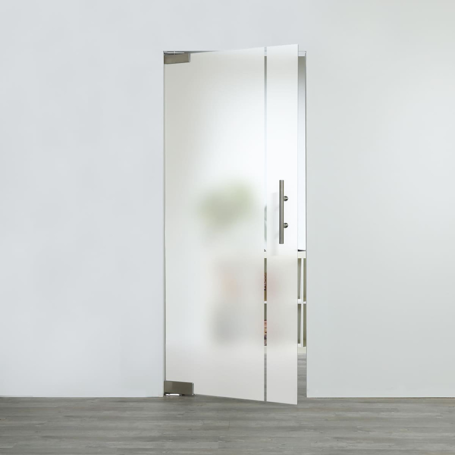 LIENBACHER GLAS Glaspendeltür Modell 376 negativ Klarglas
