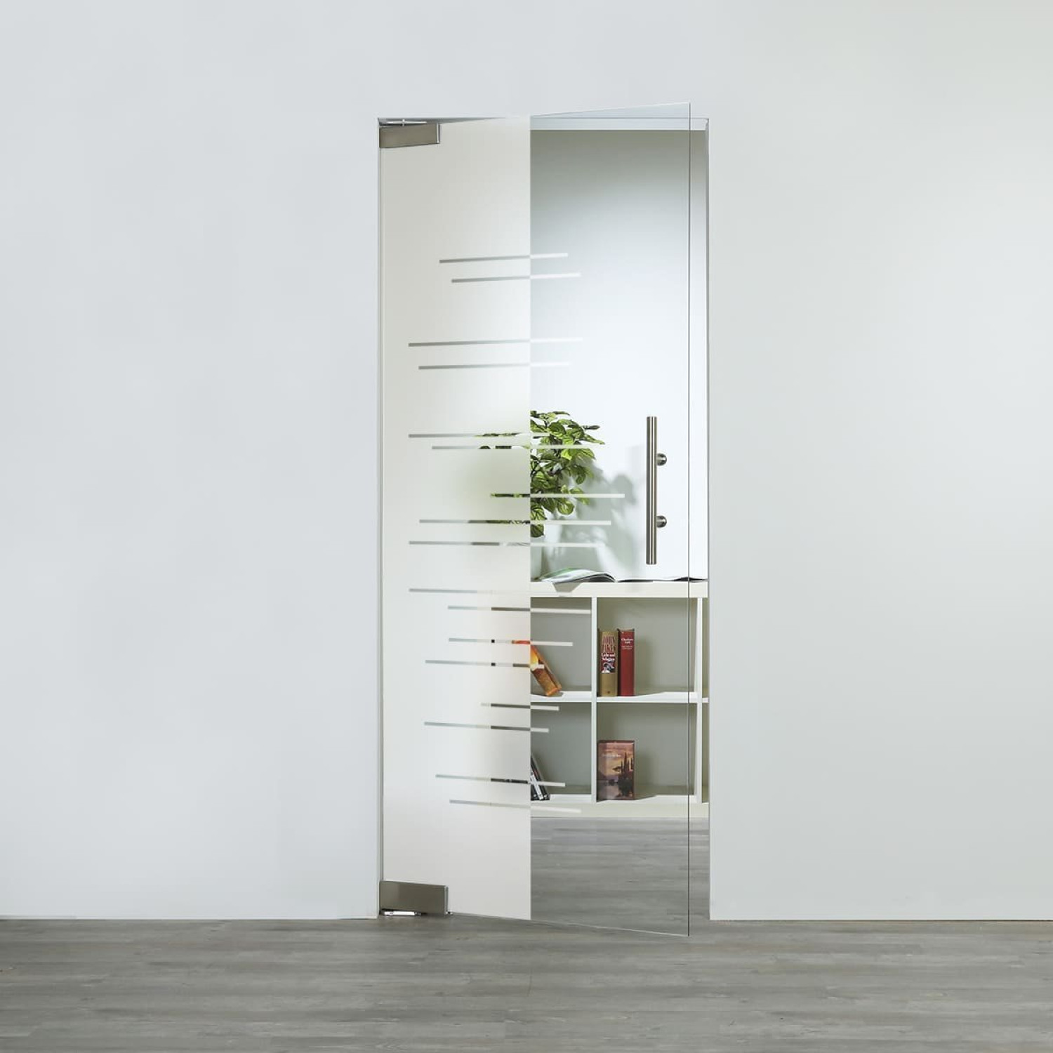 LIENBACHER GLAS Glaspendeltür Modell 391 Klarglas