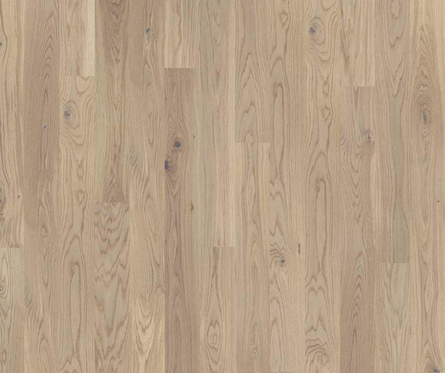 Frontansicht von Eiche Cream White Midi Plank Parkett Shade - Tarkett