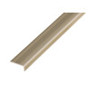 PROLINE PROSTEP Winkelprofil Aluminium 25x10mm eloxiert Edelstahl selbstk. 270cm