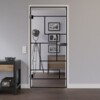 LIENBACHER GLAS Glastür Modell 650 Black Signature Klarglas
