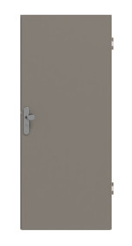 Frontansicht von Taupe RAL 7048 ProLine Lack Wohnungseingangstür - Hörmann