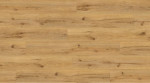 Ansicht von Design Vinylboden Eiche Optima Basestep Bild 5