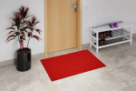 Milieubild Hausflur mit Schuhregal und Pflanze mit Kokosmatte rot 001 100 cm - Entrada