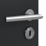 Detailansicht der Oberfläche von Anthrazit RAL 7016 LA 5 Mattlack Basic Innentür - Huga