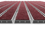 Detailansicht frontal von Aluprofilmatte ROYAL Rips T09PP rot - Entrada