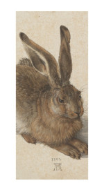 Albrecht Dürer Reproduktion Feldhase