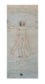 Leonardo da Vinci Reproduktion Vitruvianischer Mensch