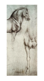 Leonardo da Vinci Reproduktion Studie der Pferde