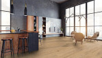BA-augusta-konvent-parkett-10327-Luxus-03