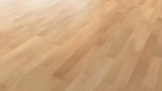 HA-buche-ged_e-trend-nd-4000-tc-scb-parkett-Schraeg-Top
