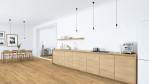 HA-eiche-invis-sauv-str-naturalin-4000-lhd-park-535618-Nordisch-02