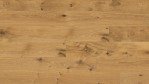 HA-eiche-sauv-naturalin-4000-lhd-retro-str-park-530793-Top