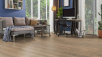 HA-eiche-tabakg-uni-alpin-naturalin-4000-lhd-plaz-tc-park-538967-Homeoffice-03