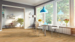 MW-eiche-lowfield-rd-300-s-debo-5941007392-1-Wohnviertel-01
