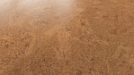 WS-cork-essence-originals-accent-O841002-Schraeg-Top
