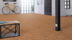WS-cork-go-captivation-C824001-Loft-02