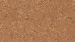 WS-cork-go-captivation-C824001-Top