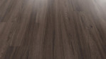 WS-eiche-dark-mineral-forest-up-debo-AGYK001-Schraeg