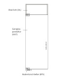 Zeichnung von Curves Motiv klar Glaspendeltür mit Oberlicht DORMA Mundus BTS Variante 7 - Erkelenz