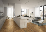 Milieuansicht 1 von Westerwald RIGID R5030A Vinyl - EBENBILD