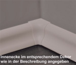 Neutrale Innenecke (Silber gebürstet) SKL 20 - ter Hürne