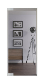Frontansicht von Modell 100 Ganzglas Pendeltür