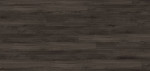 Frontansicht von Schwarzwald RIGID R5055A Vinyl 
