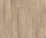 Frontansicht von Eiche Cream White Midi Plank Parkett Shade - Tarkett