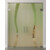 ERKELENZ Doppelflügel-Glaspendeltür Bergamo Motiv klar mit Oberlicht DORMA Mundus BTS Variante 10 