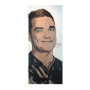 Robbie Williams Innentür Original - Fischer-Art 1