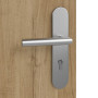Detailansicht der Oberfläche von HÖRMANN Wohnungseingangstür Natureiche Duradecor ProLine 